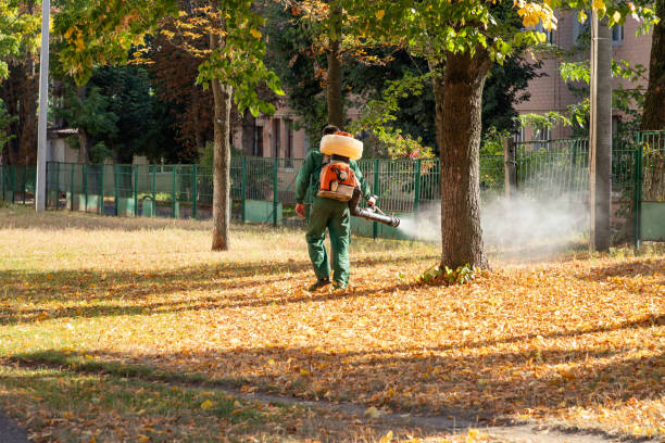 Best Local Pest Control Services  in Greenhills, OH